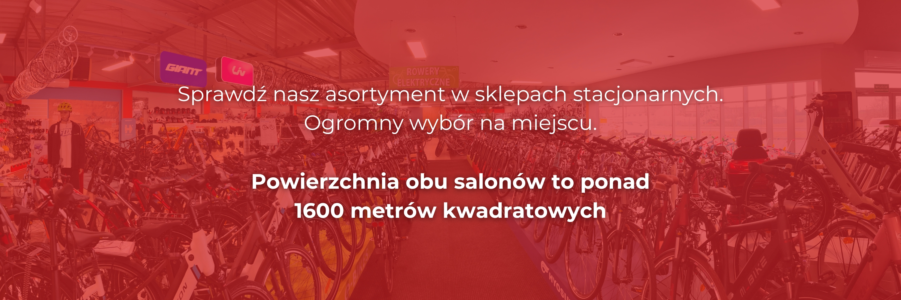 Sprawdź nasz asortyment w sklepach stacjonarnych